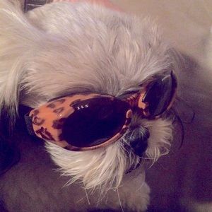 Doggles Protective Eyewear for Dogs Size Small (9-25lbs)